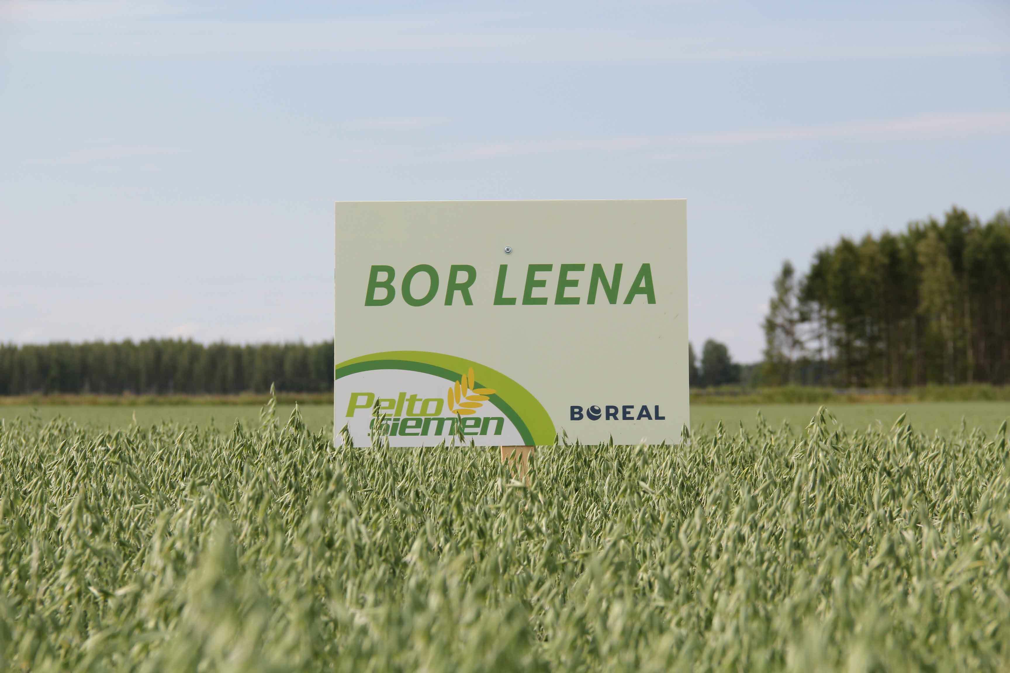BOR Leena