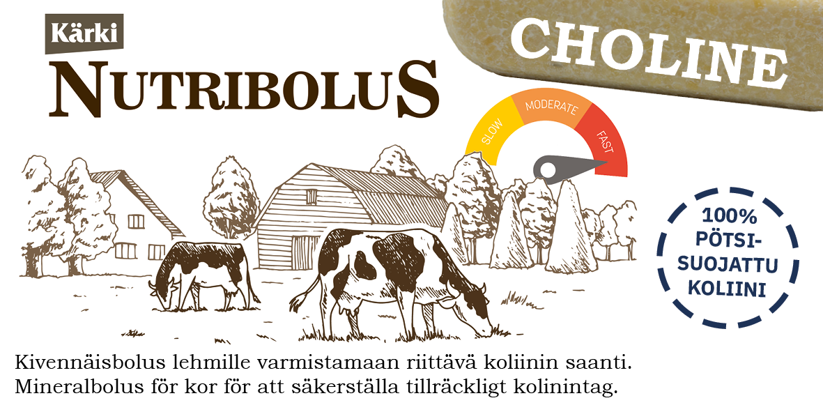 Kärki Nutribolus Choline