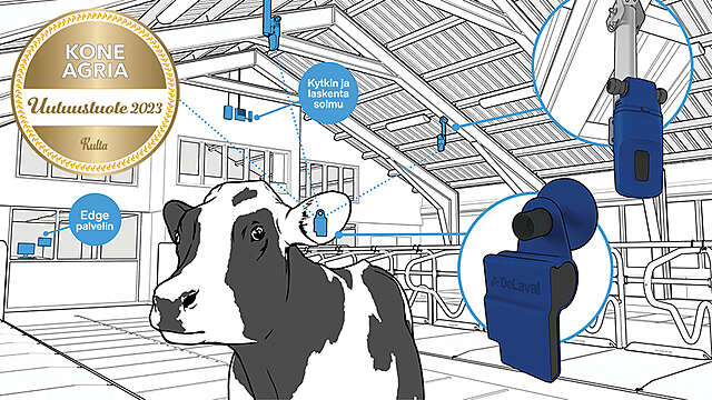 Navettakuva kultamitali